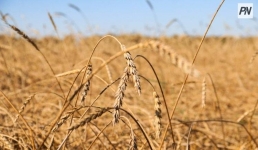 Казахстанская продукция выходит на рынки ЕС и стран Персидского залива