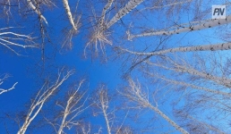 2 января в Павлодарской области не будет осадков