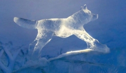 В Китае сотворили ледяную сказку