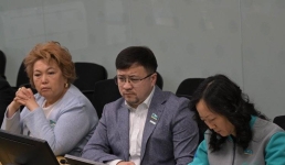 Мажилисмены поддержат павлодарские проекты на республиканском уровне