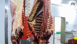 В Минсельхозе разъяснили введенные ограничения на экспорт говядины