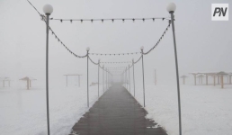 В Павлодаре кошку спасли из-под пирса на набережной