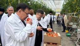 Депутаты посетили предприятия Экибастуза