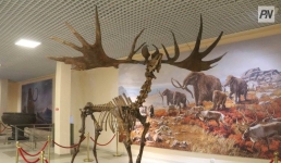 «Берел и Павлодар: диалог культур». Новый меморандум объединит музеи Казахстана