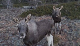 Павлодарский мобилограф показал красоту родного села с высоты птичьего полёта