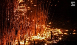 Как Павлодарская область готовится к пожароопасному сезону