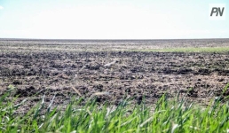 Бизнесмену из Теренколя помогли сохранить арендованную землю