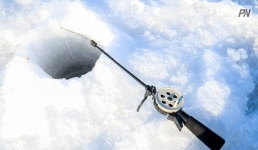 В Павлодарской области позаботились о рыбах и животных