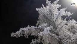 Ночными морозами завершится январь в Павлодарской области