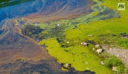 Павлодарский общественник: важно рационально использовать природные ресурсы