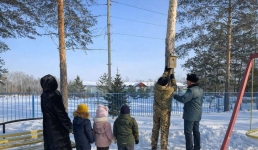 Гайд от лесников Павлодара: как смастерить скворечник и подарить заботу пернатым