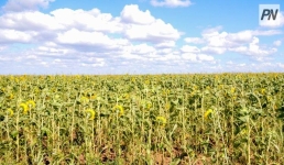 АПК Павлодарской области показал рост в соответствии с поручением Президента