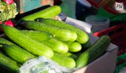 В Павлодарской области стали дешевле огурцы и репчатый лук