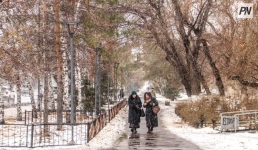 Метель и гололёд: погода в Павлодарской области 11 февраля