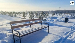 Небольшой снег ожидают в Павлодарской области 12 февраля