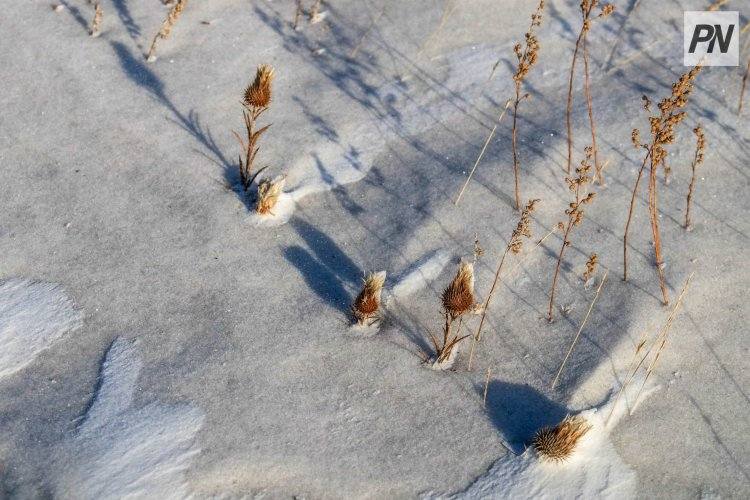 В Павлодарской области спасли заблудившихся в степи сельчан