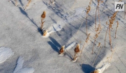 В Павлодарской области спасли заблудившихся в степи сельчан