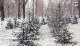 Туман и метель возможны в Павлодарской области