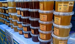 Павлодарский мёд увеличил экспортный потенциал казахстанского продукта