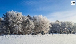 Снег и метель: погода в Павлодарской области 23 февраля