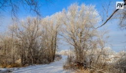 26 февраля в Павлодарской области будет по-прежнему морозно