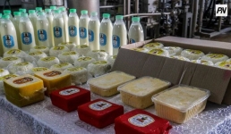 Более ста тонн молока перерабатывает в год успенский молзавод