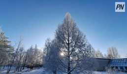 Небольшой снег ожидают в Павлодарской области 2 марта