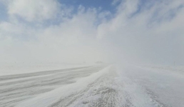 В Павлодарской области закрыли дороги по всем направлениям