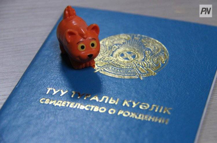 Многодетным павлодаркам пособия назначат без участия человека