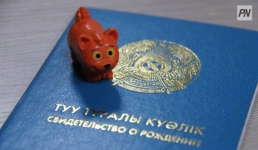 Многодетным павлодаркам пособия назначат без участия человека