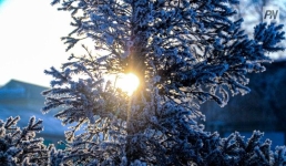 Мороз и метель: погода в Павлодарской области 11 марта