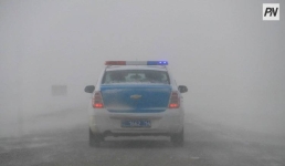 В Павлодарской области полицейские спасли трёх человек во время метели