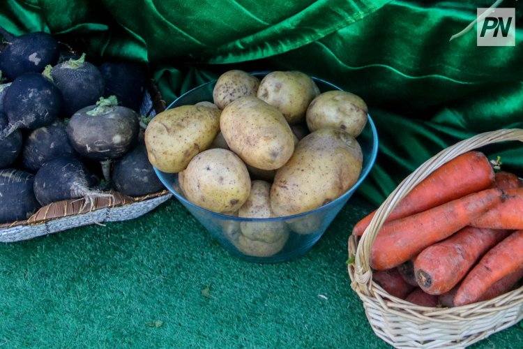 В городах и районах Павлодарской области проходят расширенные сельхозярмарки