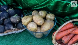 В городах и районах Павлодарской области проходят расширенные сельхозярмарки