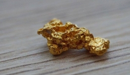 В Китае забили «золотую» утку