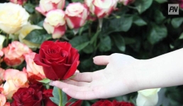 В Аксу открыли фотовыставку к юбилею города