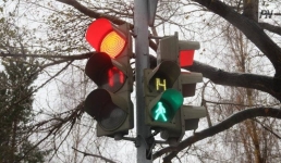 В Павлодарской области выросло количество машин