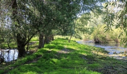 В Павлодарской области представили экопроекты