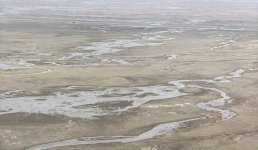 Лиманам Павлодарской области вернут функциональность