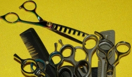 Творчество павлодарских школьников оценили в «младшей лиге» WorldSkills