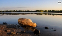 Павлодарцев призвали участвовать в акции чистоты