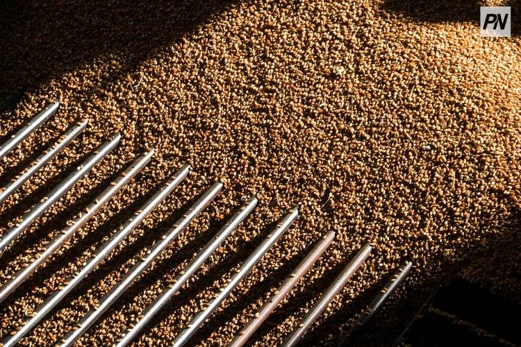 Двоих чиновников наказали за отказ в продлении аренды земли в Теренколе