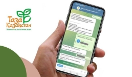 Казахстанцы все чаще решают эко-проблемы через @TazaQazBot