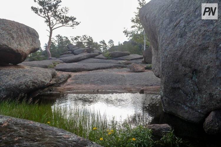 Асаин Байханов призвал жестко наказывать вредителей природы