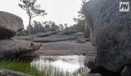 Асаин Байханов призвал жестко наказывать вредителей природы