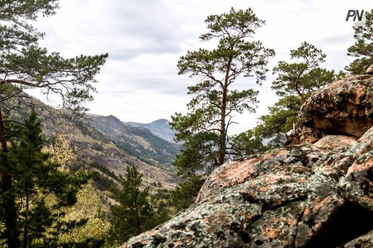 Баянаульских животноводов предупредили о запрете выпаса скота