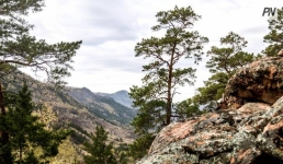 Баянаульских животноводов предупредили о запрете выпаса скота