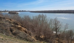 В Павлодаре обсудят сохранение Гусиного перелёта