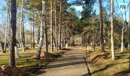 Спортивные школы Павлодарской области поддержали акцию «Таза Қазақстан»