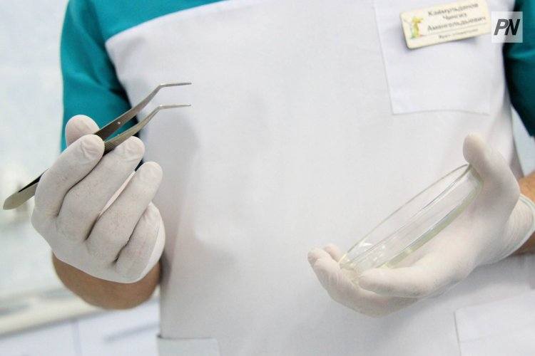 Павлодарцы тратят на протезирование зубов больше своих соседей